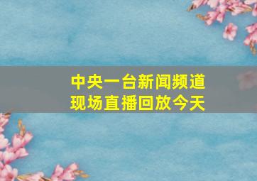 中央一台新闻频道现场直播回放今天