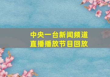 中央一台新闻频道直播播放节目回放