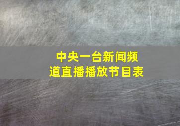 中央一台新闻频道直播播放节目表