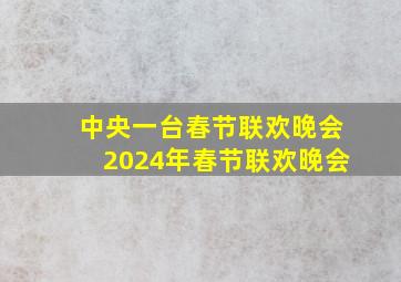 中央一台春节联欢晚会2024年春节联欢晚会