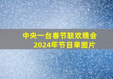 中央一台春节联欢晚会2024年节目单图片