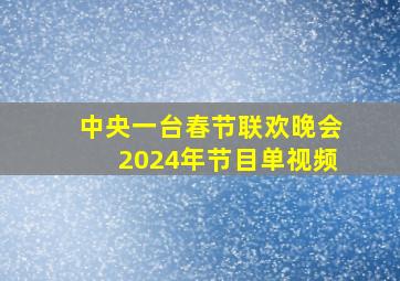 中央一台春节联欢晚会2024年节目单视频