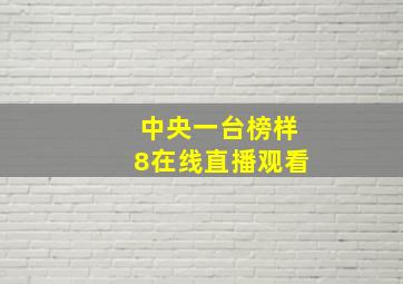 中央一台榜样8在线直播观看