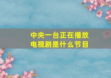 中央一台正在播放电视剧是什么节目