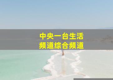 中央一台生活频道综合频道