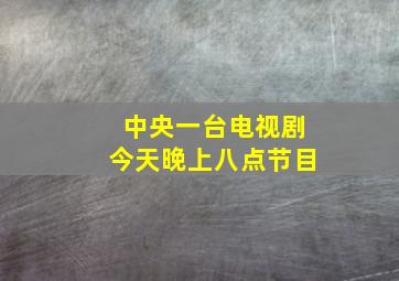 中央一台电视剧今天晚上八点节目