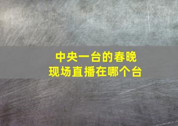 中央一台的春晚现场直播在哪个台