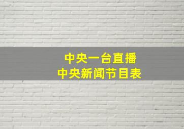 中央一台直播中央新闻节目表