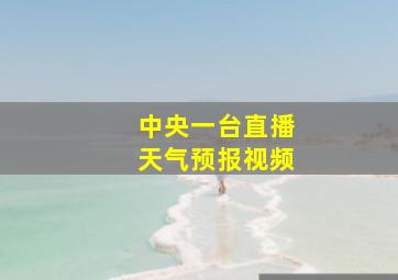 中央一台直播天气预报视频