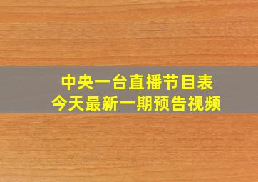 中央一台直播节目表今天最新一期预告视频