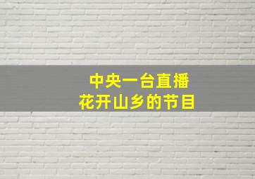 中央一台直播花开山乡的节目