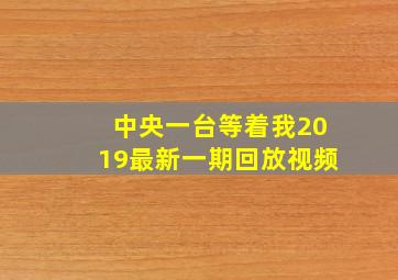 中央一台等着我2019最新一期回放视频