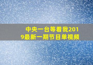 中央一台等着我2019最新一期节目单视频