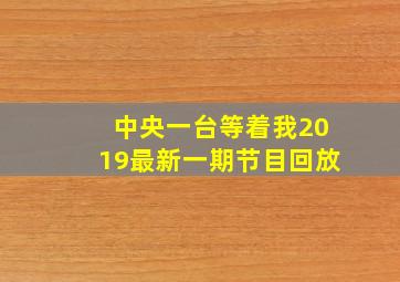 中央一台等着我2019最新一期节目回放