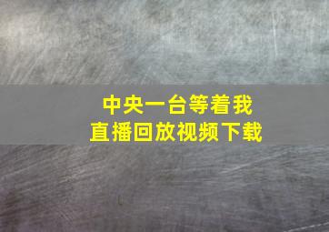 中央一台等着我直播回放视频下载