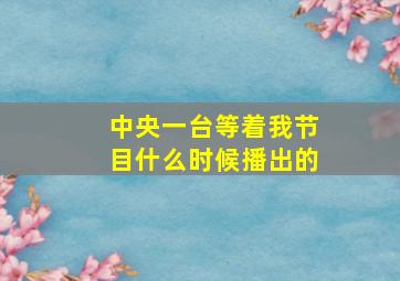 中央一台等着我节目什么时候播出的