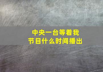 中央一台等着我节目什么时间播出