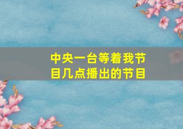 中央一台等着我节目几点播出的节目