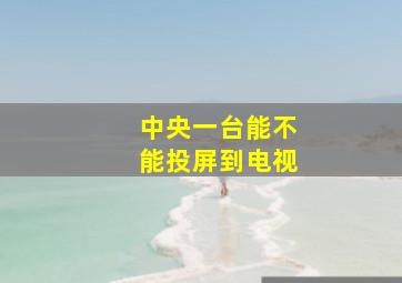 中央一台能不能投屏到电视