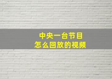 中央一台节目怎么回放的视频