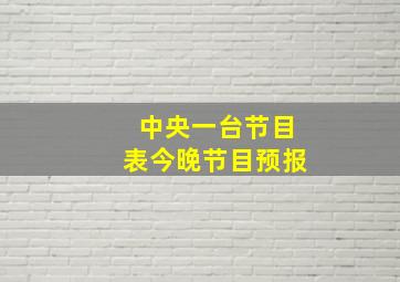 中央一台节目表今晚节目预报