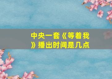 中央一套《等着我》播出时间是几点