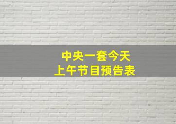 中央一套今天上午节目预告表