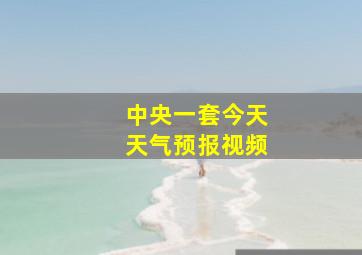 中央一套今天天气预报视频