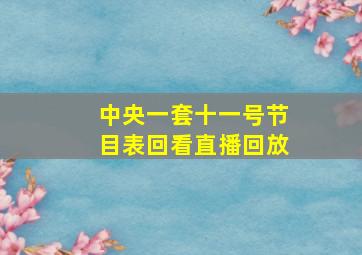 中央一套十一号节目表回看直播回放