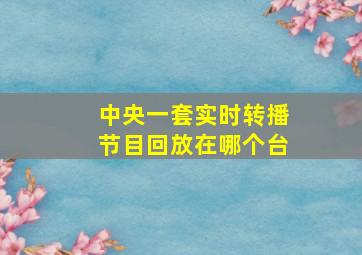 中央一套实时转播节目回放在哪个台