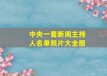 中央一套新闻主持人名单照片大全图