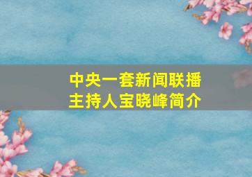 中央一套新闻联播主持人宝晓峰简介