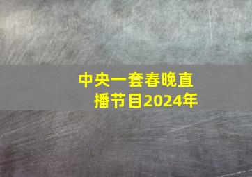 中央一套春晚直播节目2024年