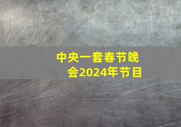 中央一套春节晚会2024年节目