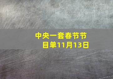 中央一套春节节目单11月13日