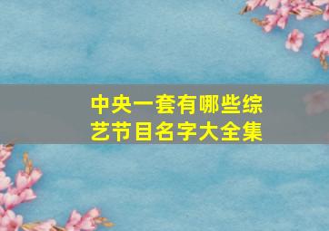 中央一套有哪些综艺节目名字大全集