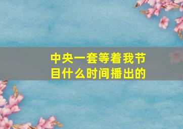 中央一套等着我节目什么时间播出的