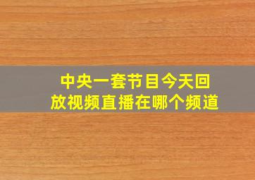 中央一套节目今天回放视频直播在哪个频道