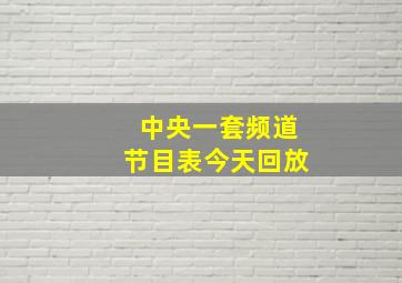 中央一套频道节目表今天回放