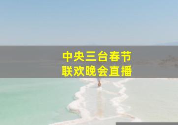 中央三台春节联欢晚会直播