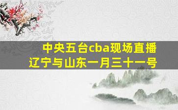 中央五台cba现场直播辽宁与山东一月三十一号