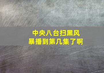 中央八台扫黑风暴播到第几集了啊