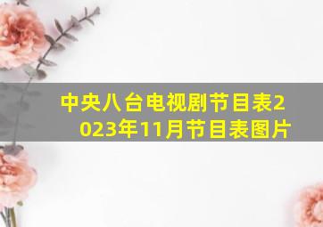 中央八台电视剧节目表2023年11月节目表图片