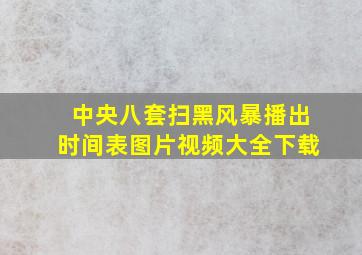 中央八套扫黑风暴播出时间表图片视频大全下载