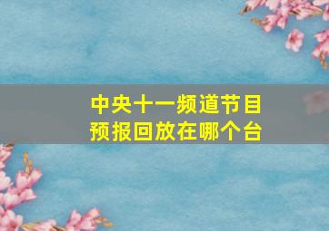 中央十一频道节目预报回放在哪个台