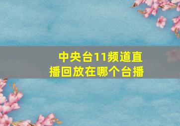 中央台11频道直播回放在哪个台播