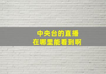 中央台的直播在哪里能看到啊