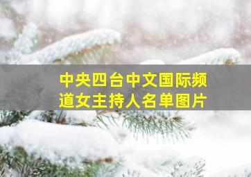 中央四台中文国际频道女主持人名单图片