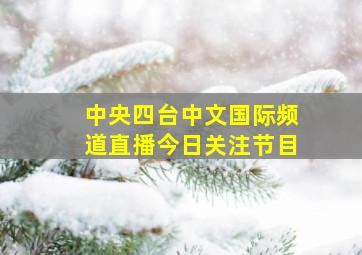 中央四台中文国际频道直播今日关注节目