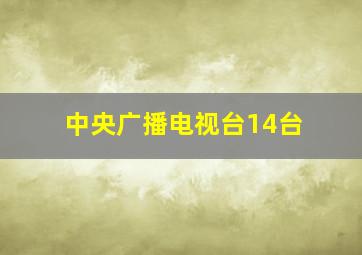 中央广播电视台14台